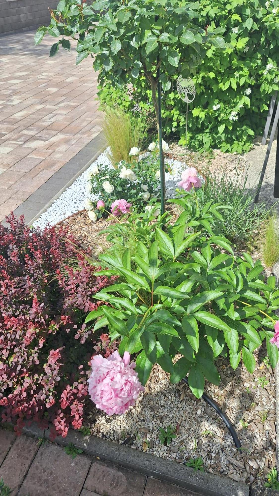 Guest House Flora Пазин Экстерьер фото